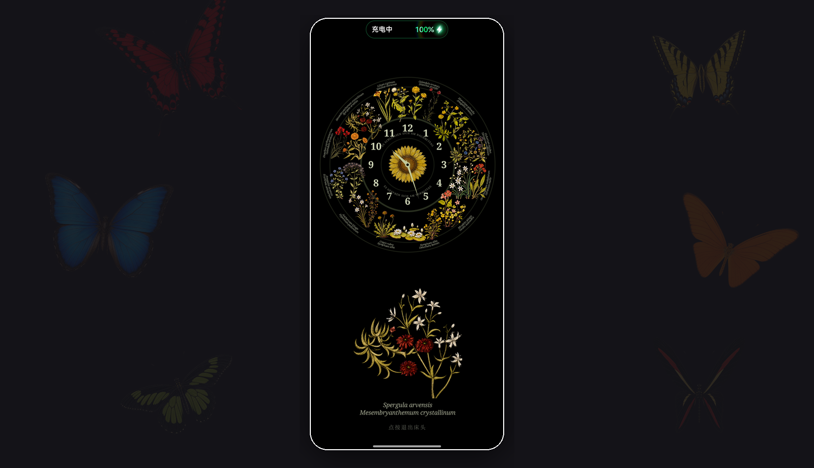 Bedside mode: the flower clock on a pure black background, dimmed for night